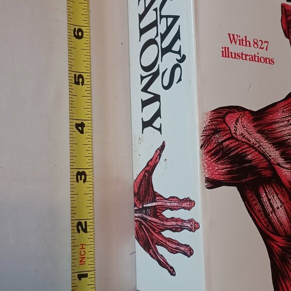 Gray's Anatomy by Henry Gray Paperback Book 1974 - Picture 6 of 11